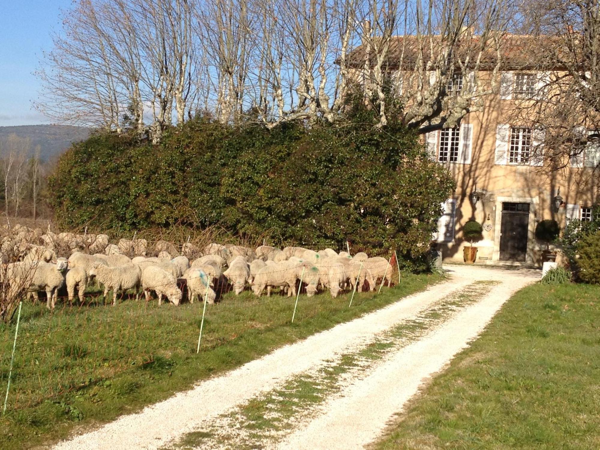 B&B Domaine Le Clos Du Pavillon Brignoles Luaran gambar