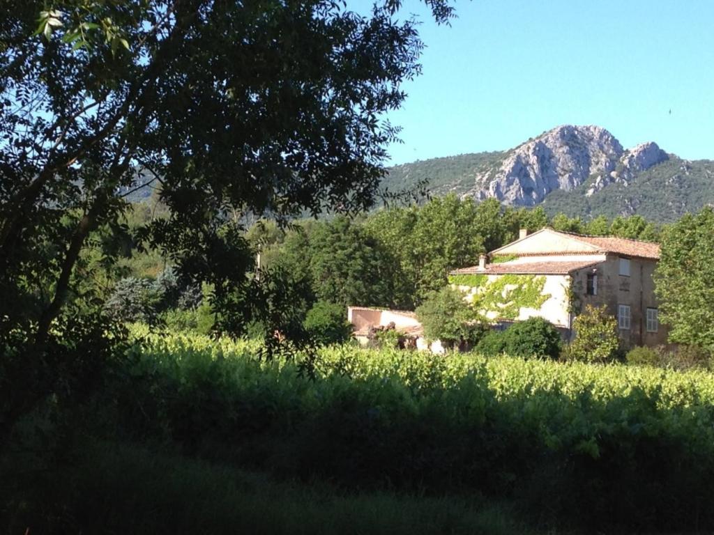 B&B Domaine Le Clos Du Pavillon Brignoles Luaran gambar