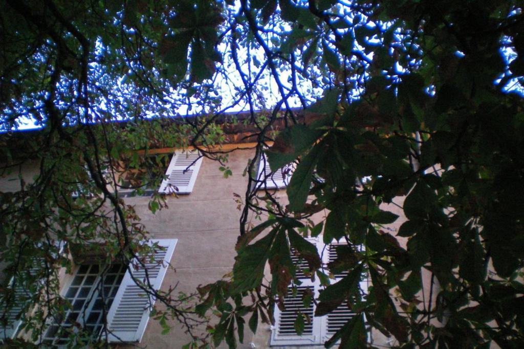 B&B Domaine Le Clos Du Pavillon Brignoles Luaran gambar