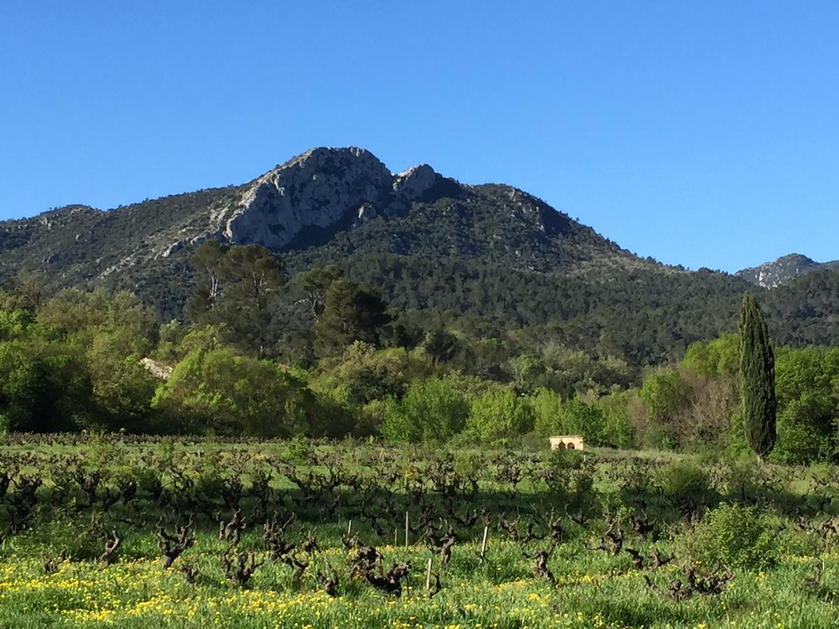 B&B Domaine Le Clos Du Pavillon Brignoles Luaran gambar