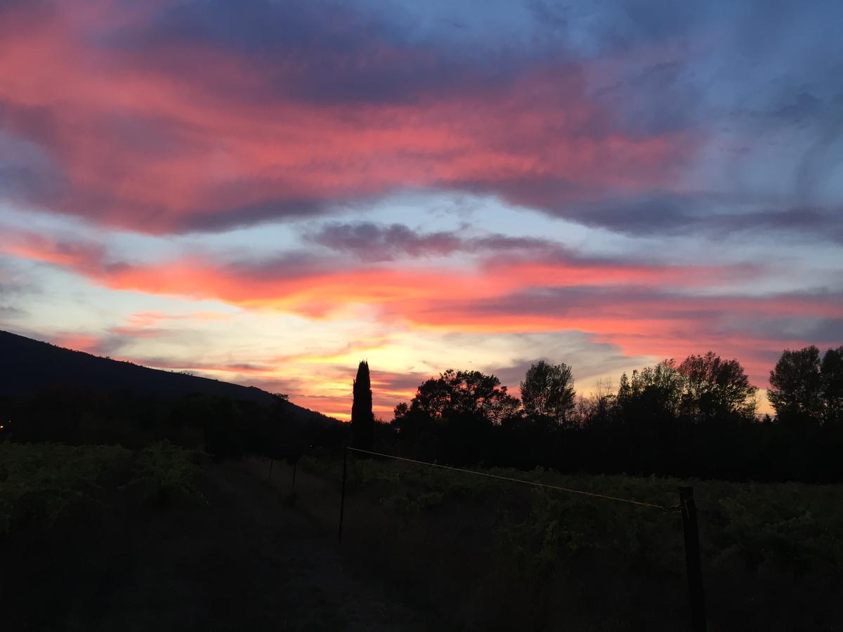 B&B Domaine Le Clos Du Pavillon Brignoles Luaran gambar
